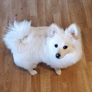 Meet your Posher, Terry